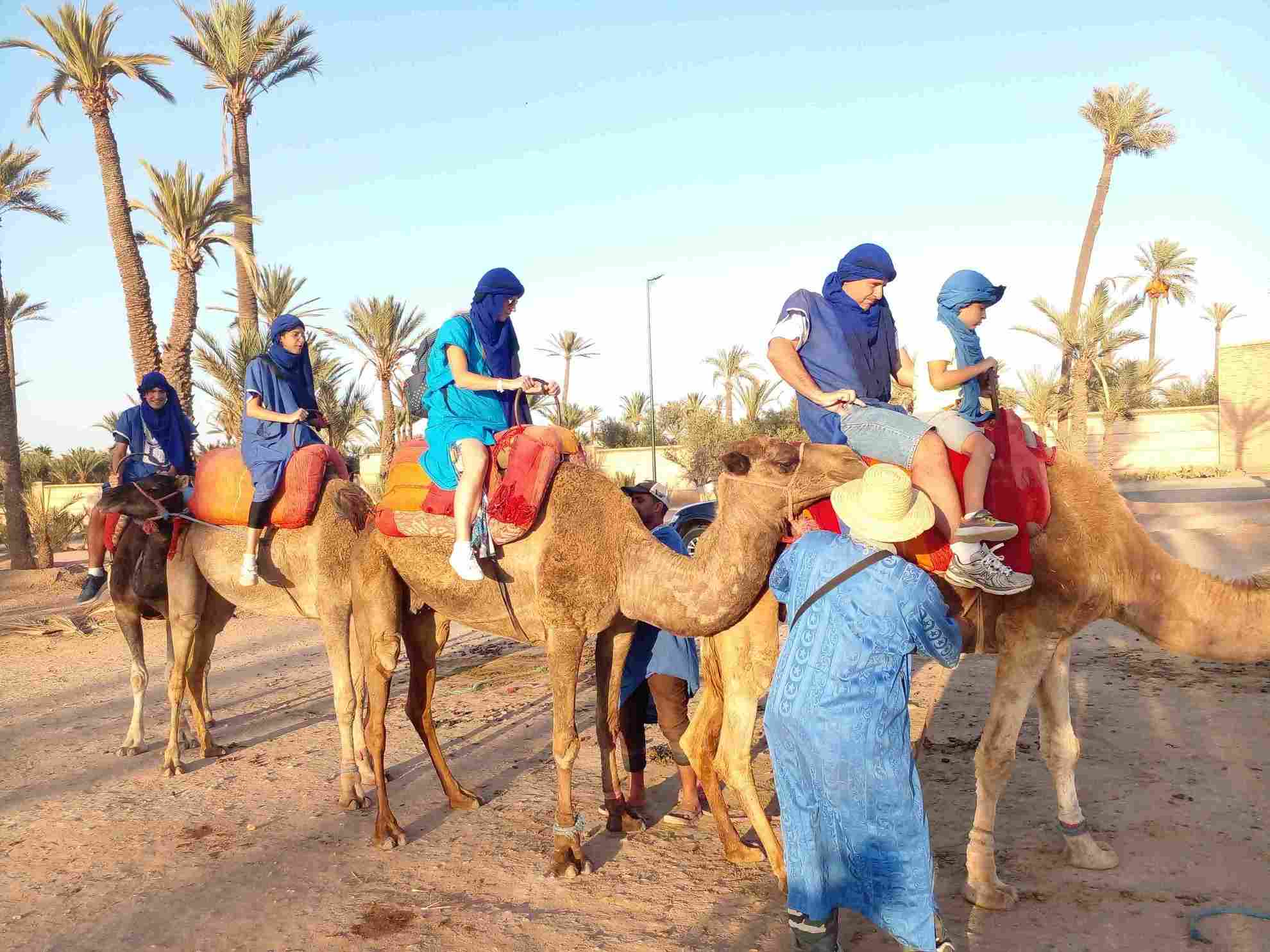 excursion chameau marrakech