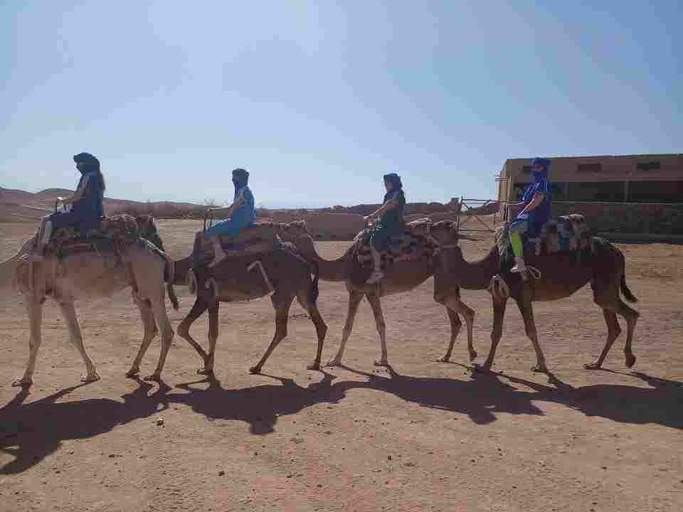 excursion chameau désert Agafay